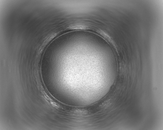 X0000067000529200603271342