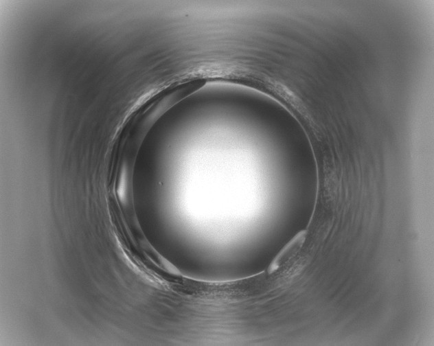 X0000067000530200603271342
