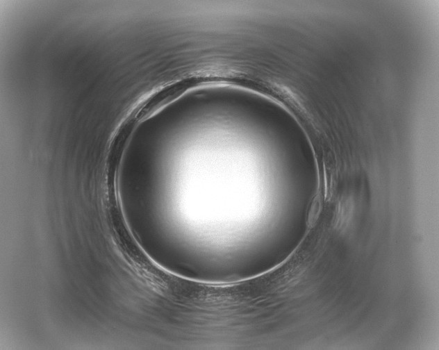 X0000067000531200603271342