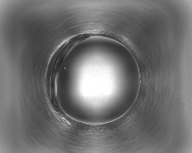X0000067000532200603271342