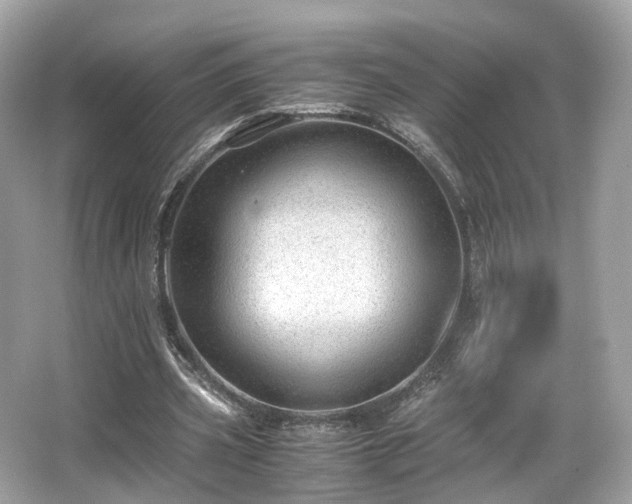 X0000067000533200603271342