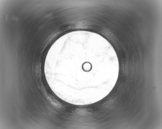 X0000067000534200603271343