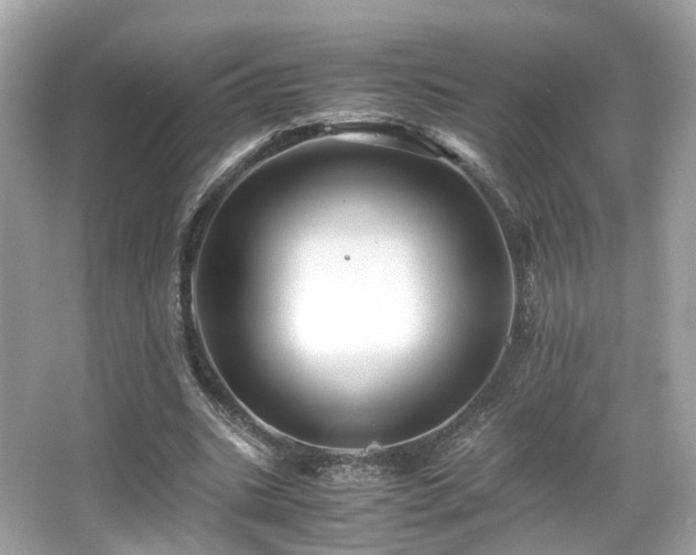 X0000067000535200603271343