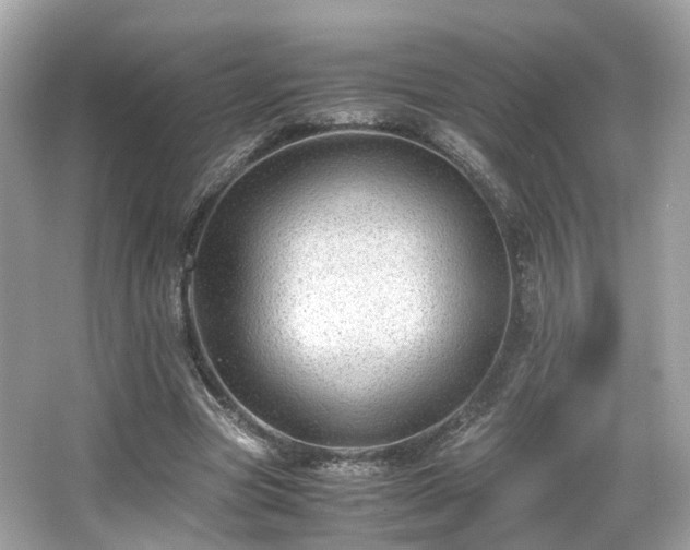 X0000067000537200603271343
