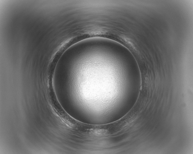 X0000067000539200603271343