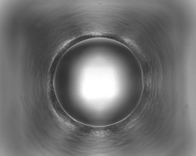 X0000067000540200603271343