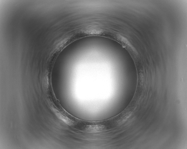 X0000067000541200603271343