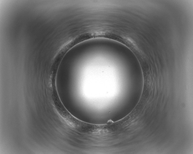 X0000067000543200603271343