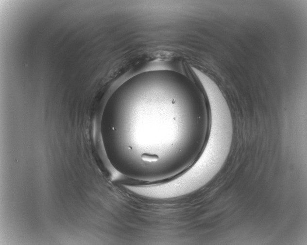 X0000067000561200603271343