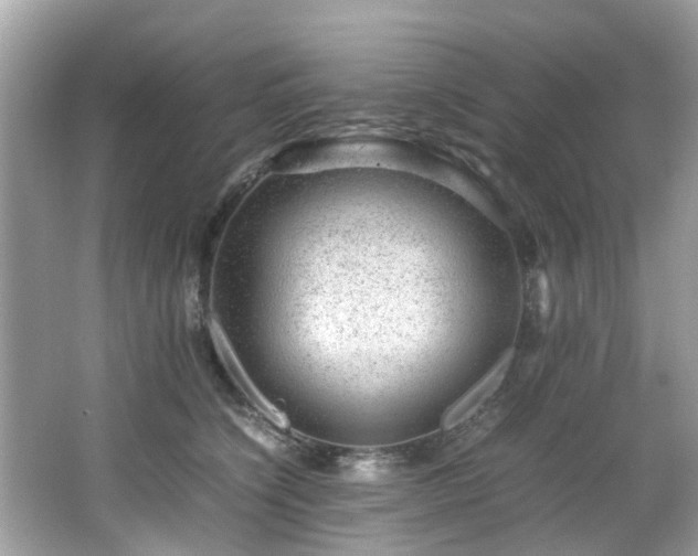 X0000067000564200603271343