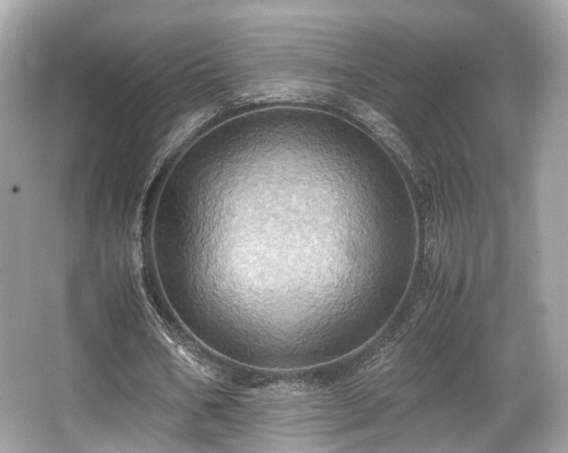 X0000067000578200603271342