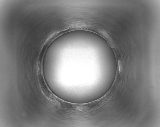 X0000067000579200603271342
