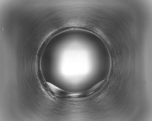 X0000067000580200603271342