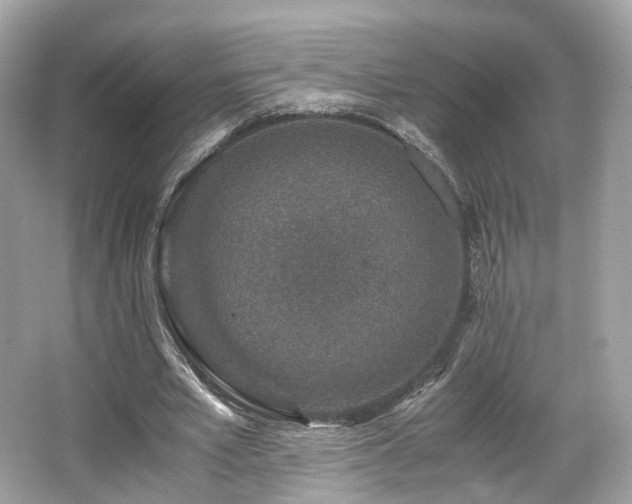 X0000067000581200603271342