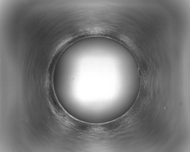 X0000067000583200603271342