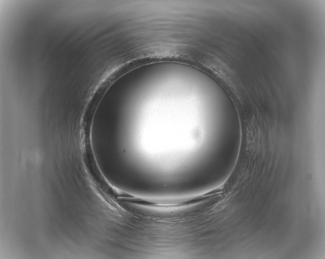 X0000067000584200603271342