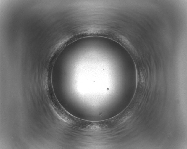 X0000067000588200603271342