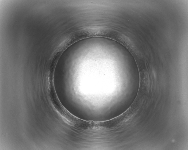 X0000067000590200603271342