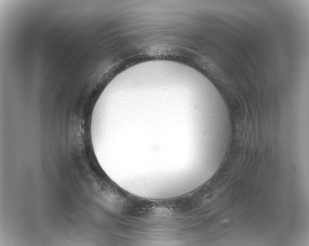 X0000067000592200603271342