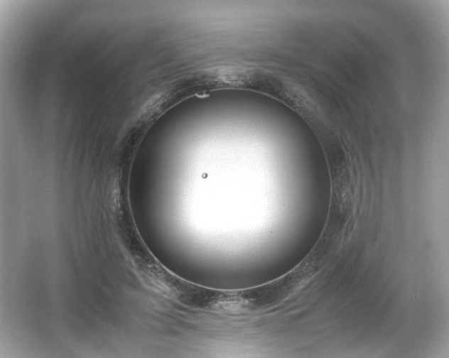 X0000067000595200603271342