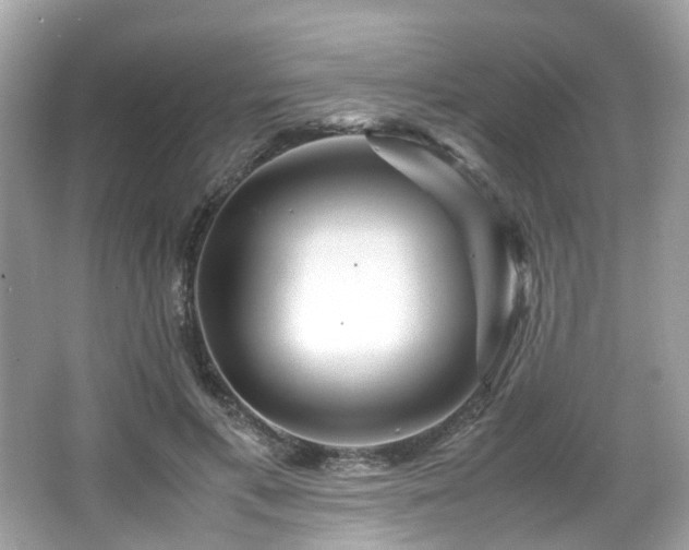 X0000067000597200603271342