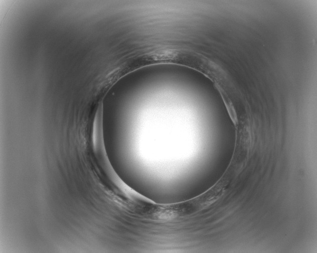 X0000067000604200603271342