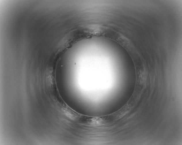 X0000067000612200603271342
