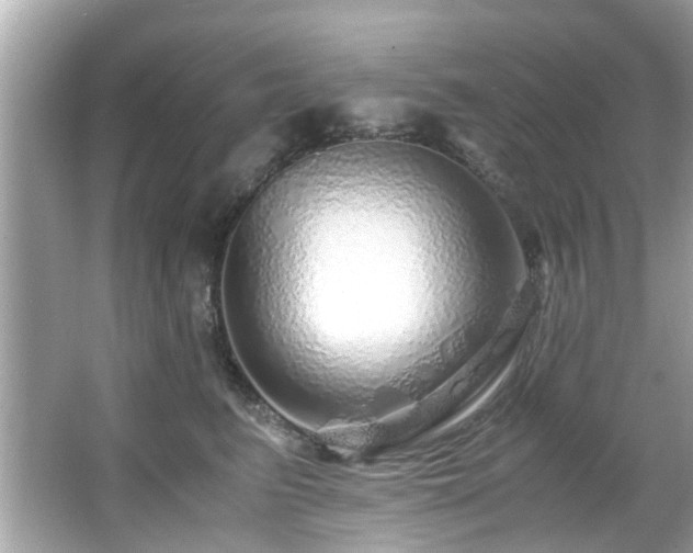 X0000067000615200603271342