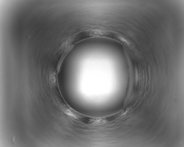 X0000067000621200603271342