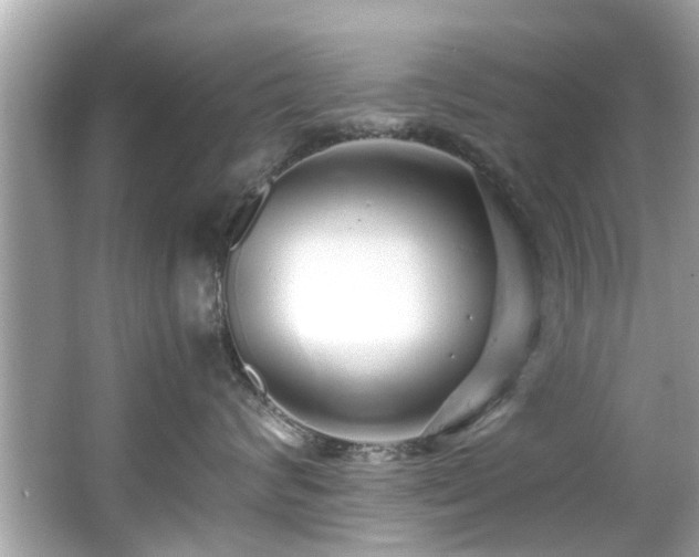 X0000067000624200603271342