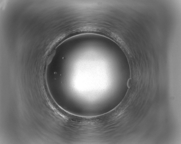 X0000067000625200603271341