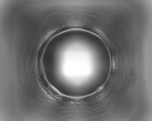 X0000067000627200603271341