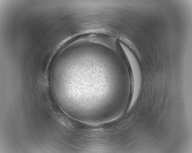 X0000067000628200603271341