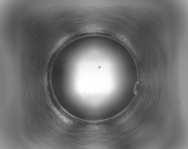 X0000067000629200603271341