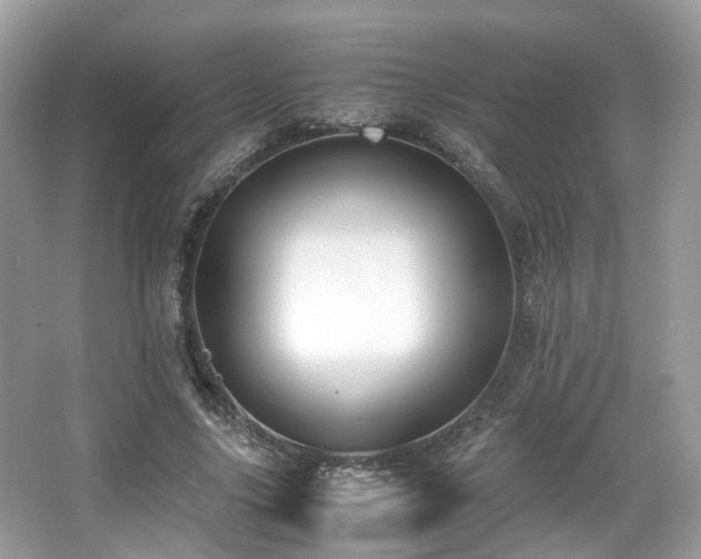 X0000067000635200603271341