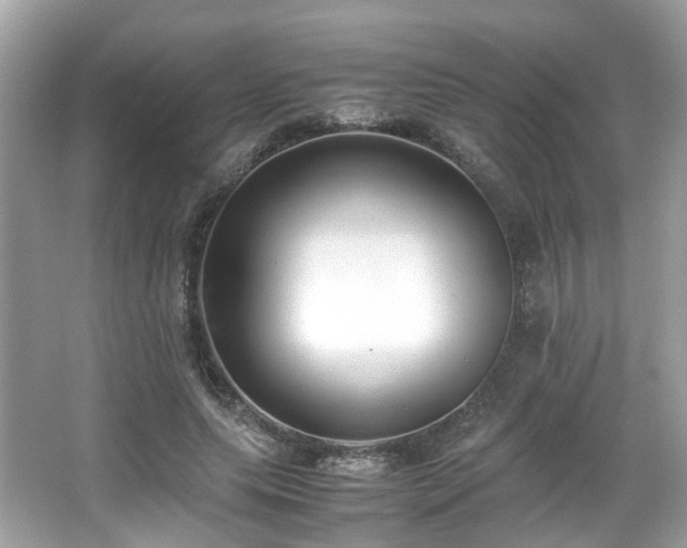 X0000067000639200603271341
