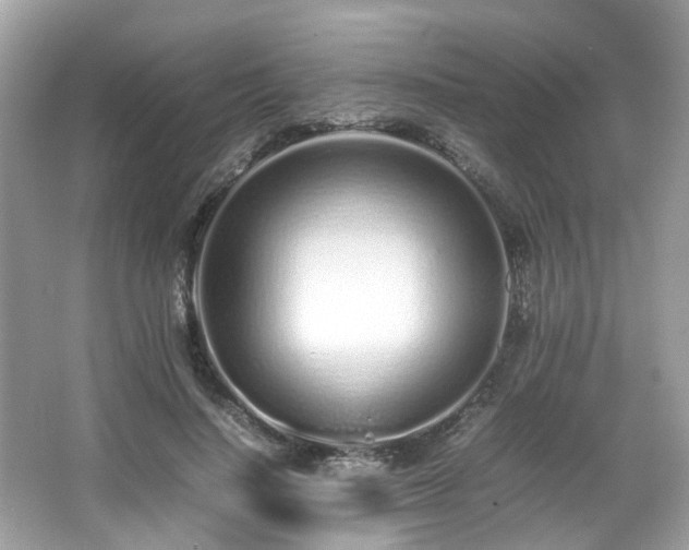 X0000067000644200603271341