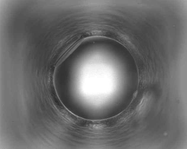 X0000067000645200603271341