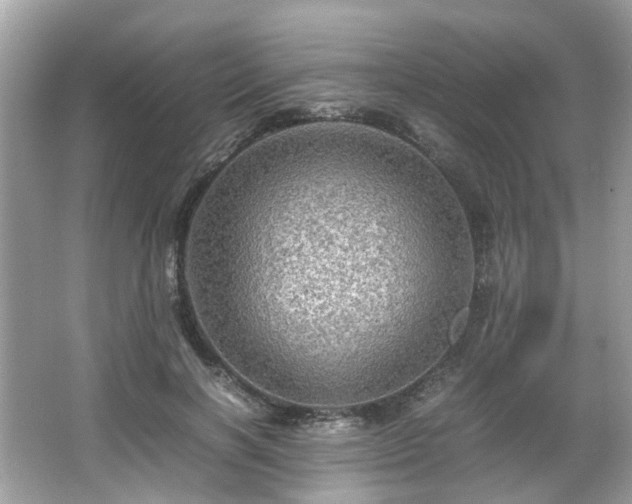X0000067000646200603271341