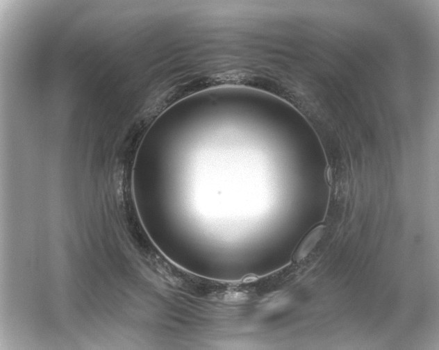 X0000067000647200603271341
