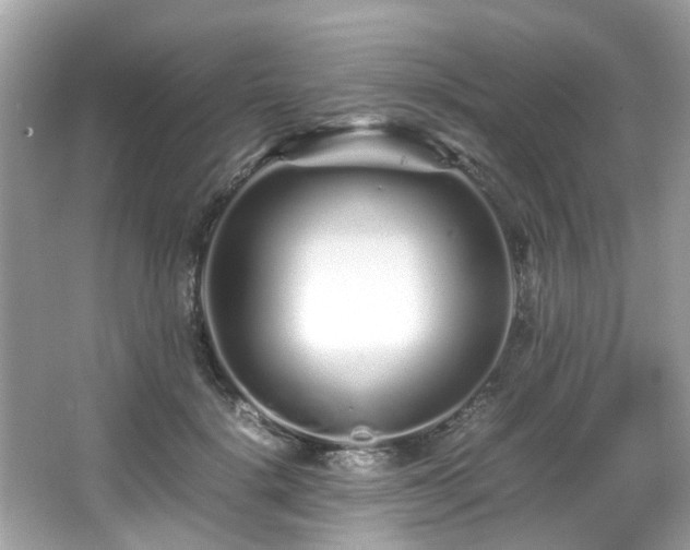 X0000067000652200603271341