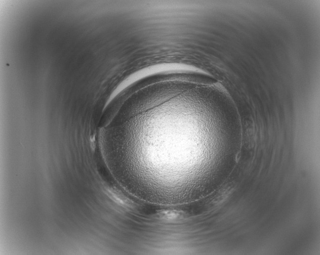 X0000067000654200603271341