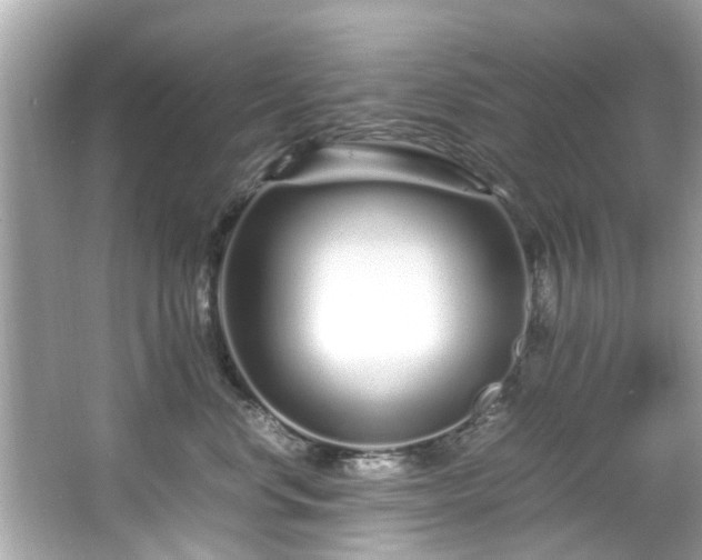X0000067000668200603271342