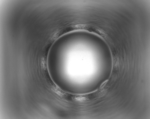 X0000067000669200603271342