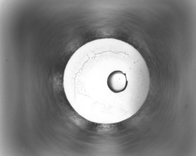 X0000067000672200603271342