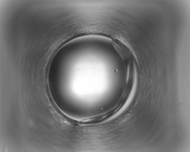 X0000067000673200603271341