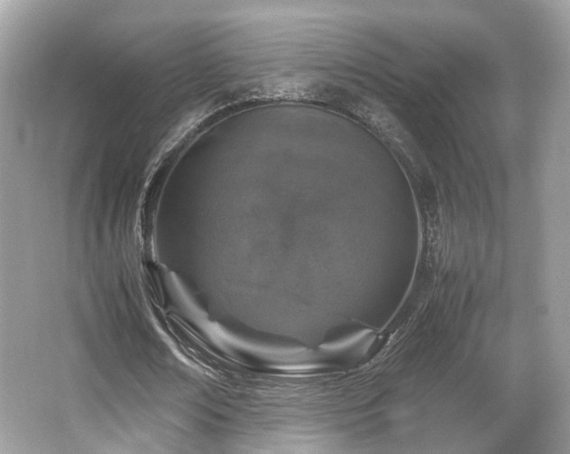 X0000067000674200603271341