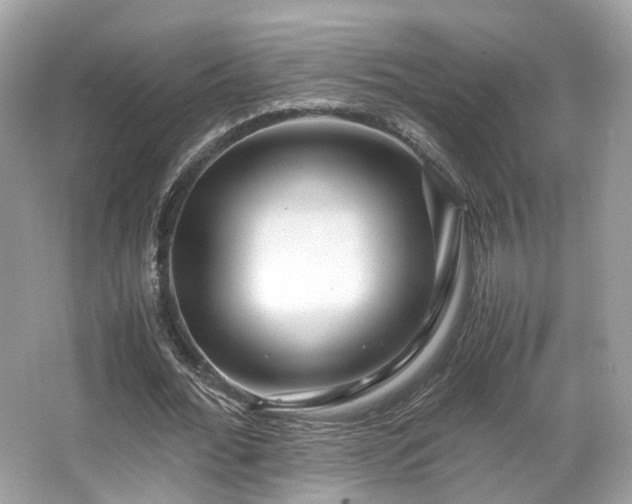X0000067000676200603271341