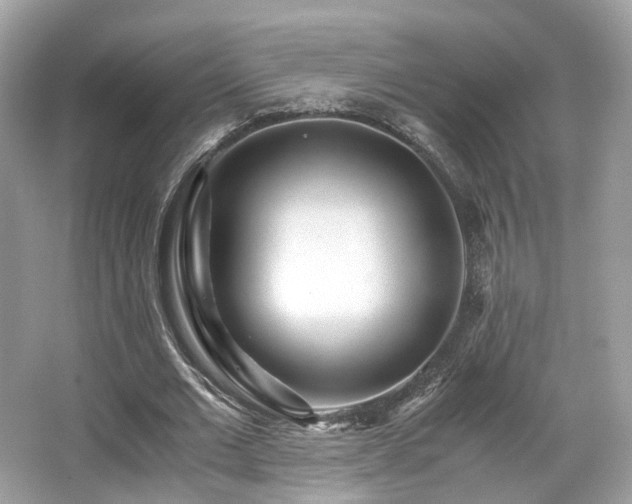 X0000067000677200603271341