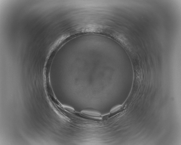 X0000067000678200603271341